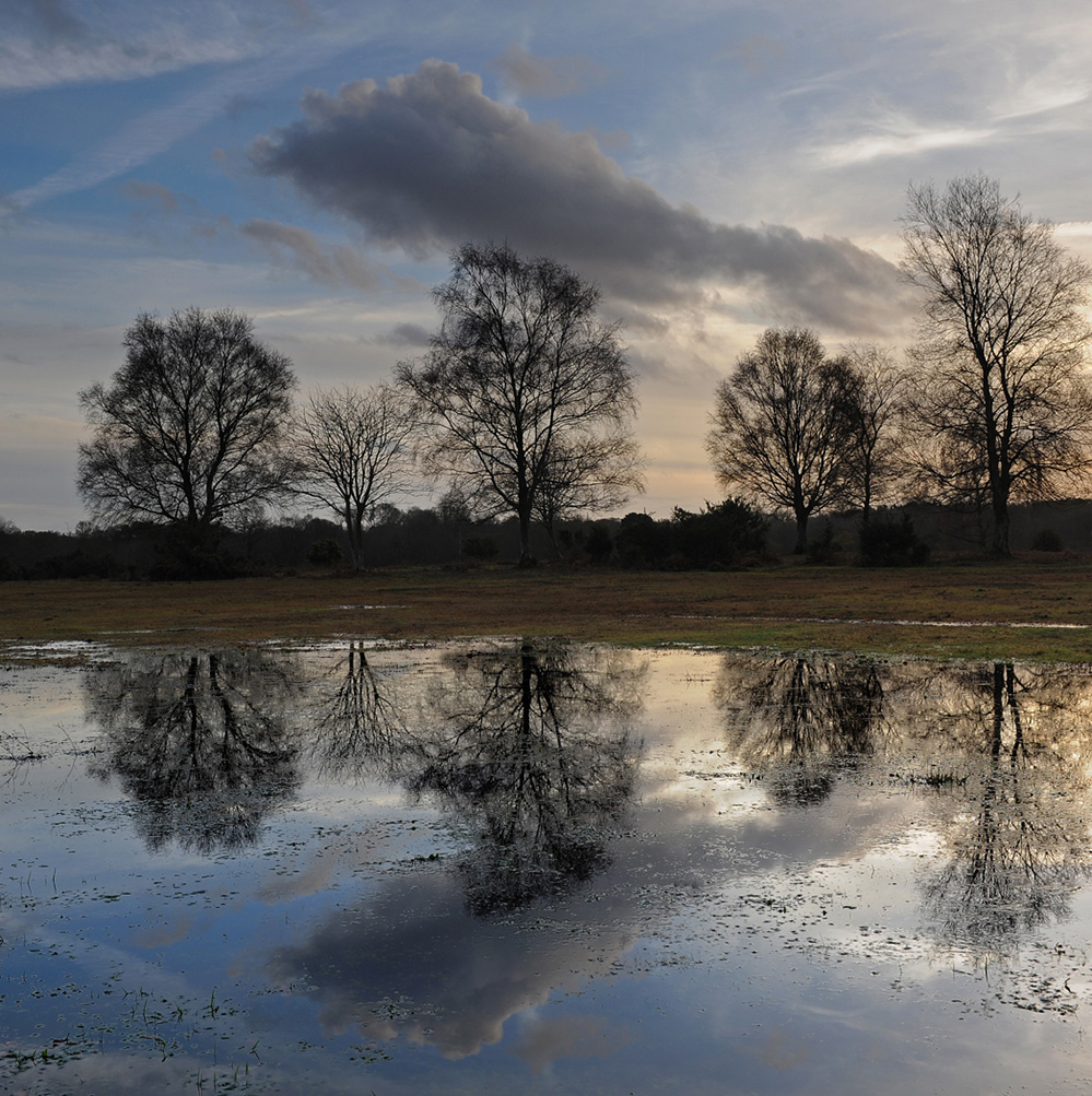Winter Reflections, Furzley Common 1
